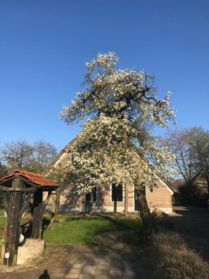 Appartement "In De Wolken" In Gees Kültér fotó